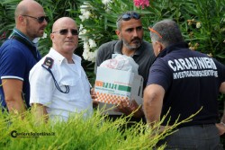 "Ladri d'identità": nuovo furto di documenti, i banditi colpiscono a Gallipoli. E rubano una dozzina di pistole - Corriere Salentino