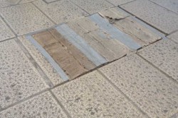 Foresio: "Disinfestazione nella movida, quando?" - Corriere Salentino