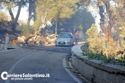 Fiamme e paura a Santa Cesarea, vasto incendio mette in allerta i residenti - Corriere Salentino