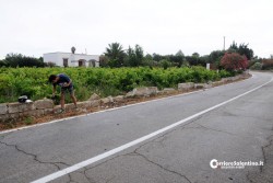 Perde il controllo dopo una curva, si schianta contro il muro di una villa e si ribalta - Corriere Salentino