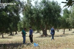 Il killer di Copertino conosceva la vittima ed aveva un complice - Corriere Salentino