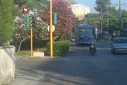 Dietro la curva sul viale spunta un nuovo photored, lo Sportello dei Diritti invita ad "aprire gli occhi" - Corriere Salentino