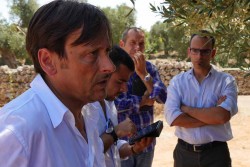 Xylella fastidiosa, Dario Stefàno: “Sfida durissima. Road map con il ministro Martina” - Corriere Salentino