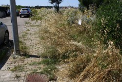 Periferie di Lecce dimenticate. La denuncia dei residenti del complesso residenziale “Agave”: Parte la petizione - Corriere Salentino
