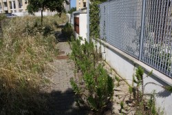 Periferie di Lecce dimenticate. La denuncia dei residenti del complesso residenziale “Agave”: Parte la petizione - Corriere Salentino