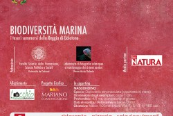 "Biodiversità marina": i tesori sommersi della Reggia di Galatone nella mostra fotografica di Giuseppe Piccioli Resta - Corriere Salentino