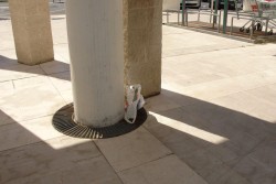 Bomba ai piedi del "Centrum", ma era solo un innocuo ordigno bellico - Corriere Salentino