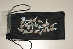 Operazione “San Lorenzo” nel magliese: 5 arresti, 12 denunce e 11 segnalazioni - Corriere Salentino