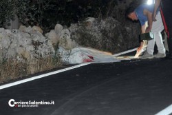 Travolto da un'auto mentre era in bici, muore 19enne - Corriere Salentino