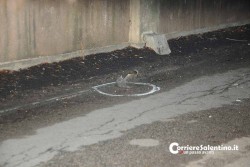 Con la moto contro un muro, muore centauro - Corriere Salentino