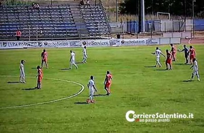 lecce-lupa