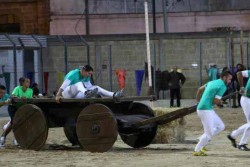 La X edizione del Palio delle Contrade domani a Galatone - Corriere Salentino