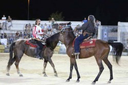 La X edizione del Palio delle Contrade domani a Galatone - Corriere Salentino