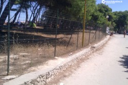 Recintata ma dovunque si bivacca, come uccidere una pineta - Corriere Salentino