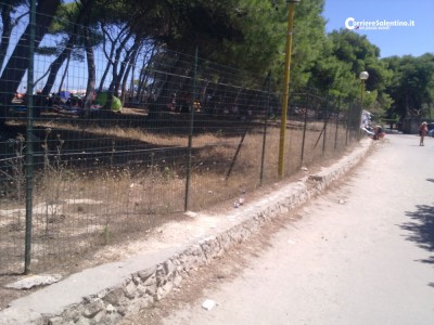 pineta-torre-dell'orso-(2)