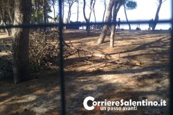 Pineta di Torre dell’Orso: storia di ordinario degrado - Corriere Salentino