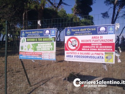 pineta-torre-dell'orso-(7)