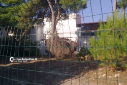 Recintata ma dovunque si bivacca, come uccidere una pineta - Corriere Salentino