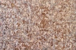 "Cercando identità": personale di Kristine Kvitka a Specchia - Corriere Salentino