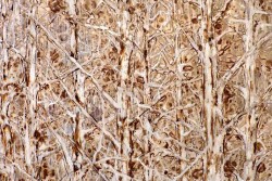 "Cercando identità": personale di Kristine Kvitka a Specchia - Corriere Salentino