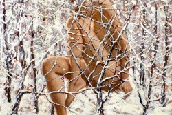 "Cercando identità": personale di Kristine Kvitka a Specchia - Corriere Salentino