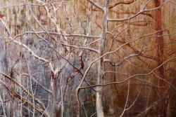 "Cercando identità": personale di Kristine Kvitka a Specchia - Corriere Salentino