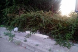 Rifiuti abbandonati e incuria in città: fioccano segnalazioni allo Sportello dei diritti - Corriere Salentino