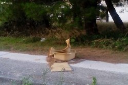 Rifiuti abbandonati e incuria in città: fioccano segnalazioni allo Sportello dei diritti - Corriere Salentino