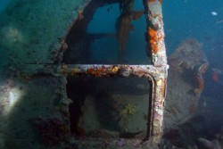 Tra un mese l'inaugurazione dell'acquario di Nardò: ci saranno i relitti dei fondali di Santa Caterina - Corriere Salentino