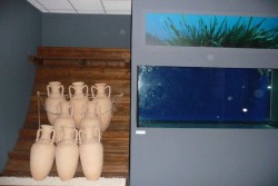 Tra un mese l'inaugurazione dell'acquario di Nardò: ci saranno i relitti dei fondali di Santa Caterina - Corriere Salentino