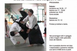30 anni del dojo "ll Cavaliere": manifestazione delle scuole di Aikido Leccesi - Corriere Salentino