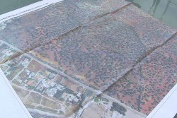 Resort Nardò, Vendola: “Dobbiamo sapere la verità, è una lottizzazione in un uliveto secolare quattrocentesco” - Corriere Salentino