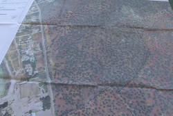 Resort Nardò, Vendola: “Dobbiamo sapere la verità, è una lottizzazione in un uliveto secolare quattrocentesco” - Corriere Salentino