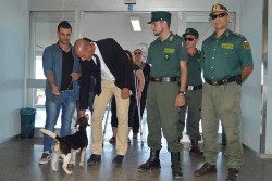 Esperimento di Pet Therapy in Pediatria a Lecce, per la prima volta un cane in reparto - Corriere Salentino