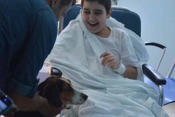 Esperimento di Pet Therapy in Pediatria a Lecce, per la prima volta un cane in reparto - Corriere Salentino