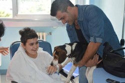 Esperimento di Pet Therapy in Pediatria a Lecce, per la prima volta un cane in reparto - Corriere Salentino