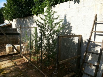 altAmBXlRd-iUDIZHACe3NwvljG0osU1q0WgptVVs3cS6wh