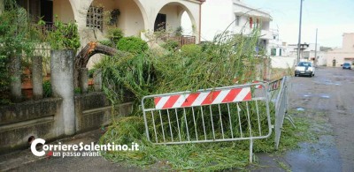 danni-maltempo-slide