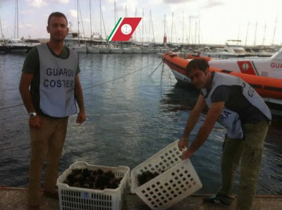 guardia-costiera-ricci