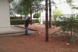 I lavoratori degli appalti delle pulizie al lavoro nelle scuole dell'infanzia in tutta la provincia - Corriere Salentino