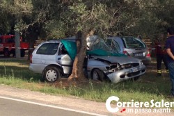 Fuori strada con l'auto, si schianta contro un albero: muore artigiano 69enne - Corriere Salentino