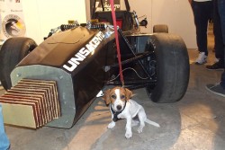 Farnesina e Cnr insieme a notte dei ricercatori a Lecce - Corriere Salentino