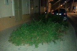 Dantes: "Rione Leuca - Ferrovia: disagi per gli abitanti della zona" - Corriere Salentino