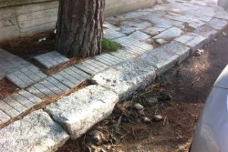 Via Eugenio Montale: marciapiedi impraticabili e pericolosi. Dantes: "A quando una soluzione definitiva?" - Corriere Salentino