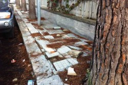 Via Eugenio Montale: marciapiedi impraticabili e pericolosi. Dantes: "A quando una soluzione definitiva?" - Corriere Salentino