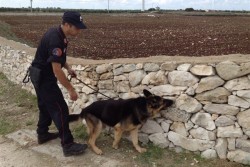 Blitz a Surbo, i carabinieri espugnano la roccaforte dello spaccio: un arresto - Corriere Salentino