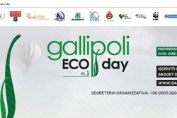 Eco Day One Gallipoli: una giornata per cancellare gli effetti del turismo di massa - Corriere Salentino