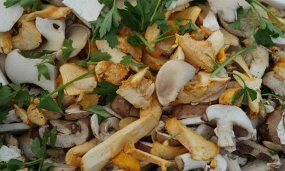 funghi