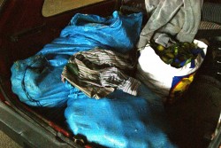 Ruba due quintali di agrumi, intercettato dai carabinieri ed arrestato - Corriere Salentino