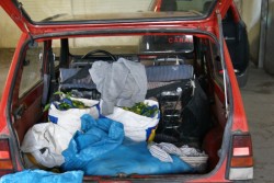 Ruba due quintali di agrumi, intercettato dai carabinieri ed arrestato - Corriere Salentino